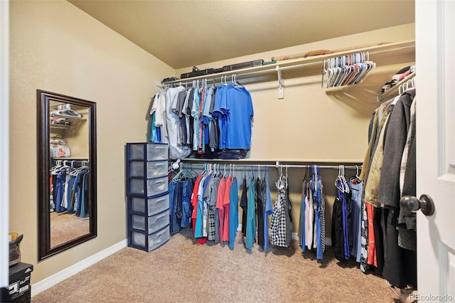 12766 Sunlight Peak Pl, Peyton, CO 80831 - spacious closet with carpet and lofted ceiling
