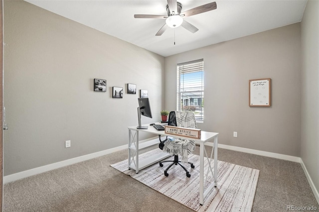 8919 Ferncrest St, Longmont, CO 80504 - photo 16