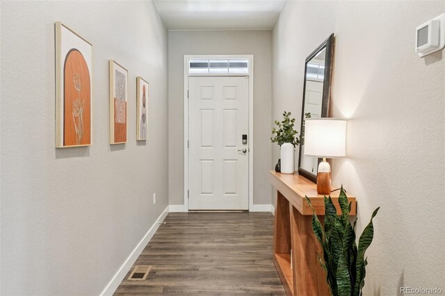 8919 Ferncrest St, Longmont, CO 80504 - photo 22