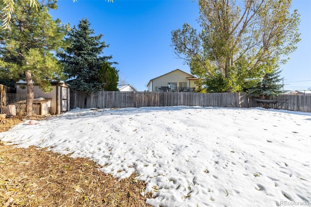 view of yard with a storage shed