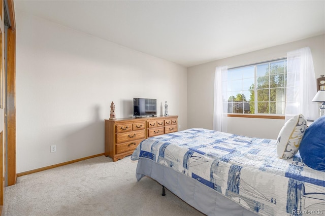 5048 Rocky Mountain Dr, Castle Rock, CO 80109 - carpeted bedroom with baseboards