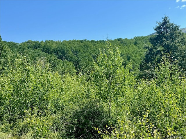 LOT5850 Richardson Rd, Fort Garland, CO 81152