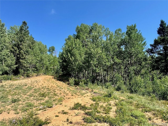LOT5850 Richardson Rd, Fort Garland, CO 81152