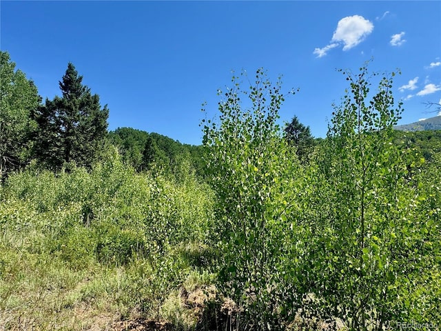 LOT5850 Richardson Rd, Fort Garland, CO 81152