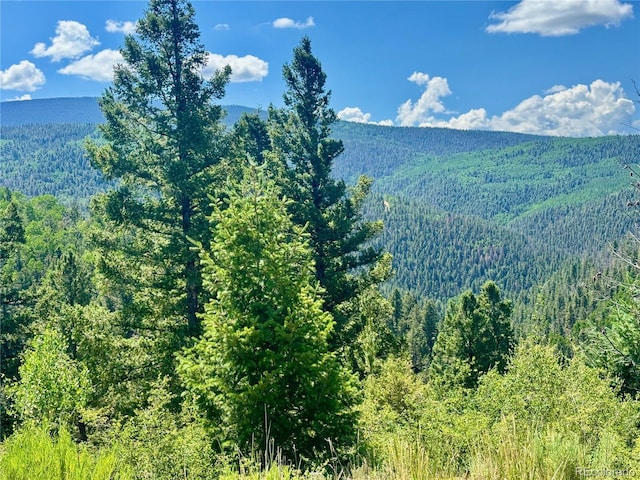 LOT5850 Richardson Rd, Fort Garland, CO 81152