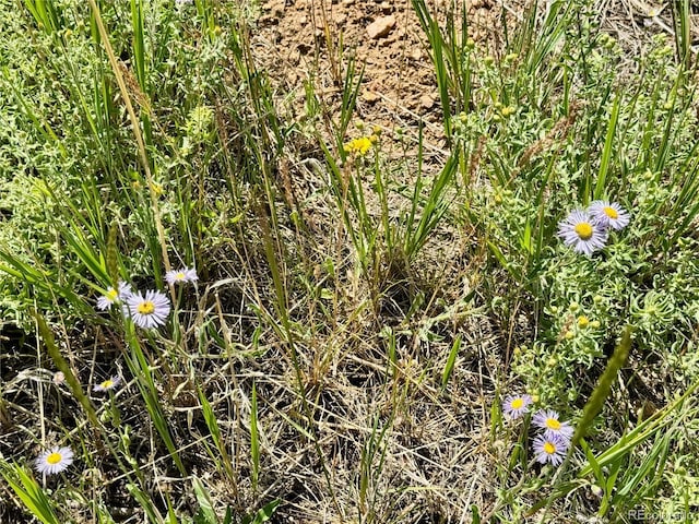 LOT5850 Richardson Rd, Fort Garland, CO 81152