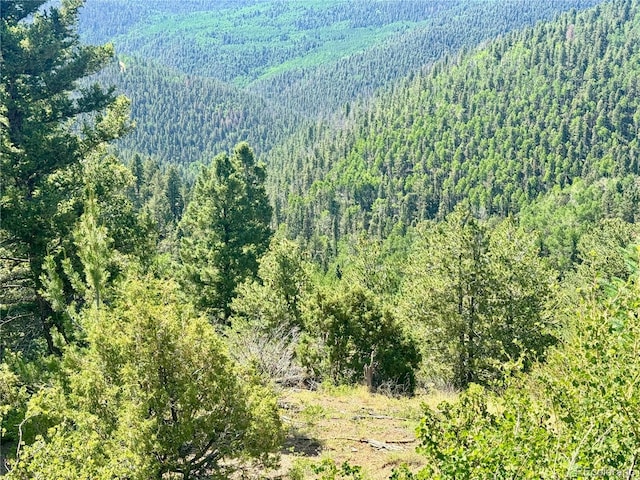 LOT5850 Richardson Rd, Fort Garland, CO 81152