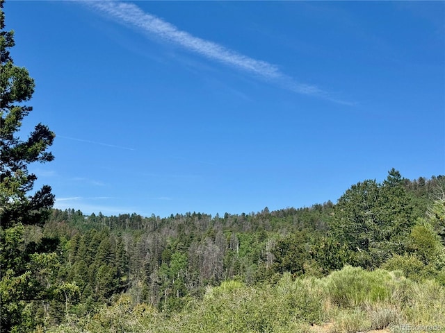 LOT5850 Richardson Rd, Fort Garland, CO 81152