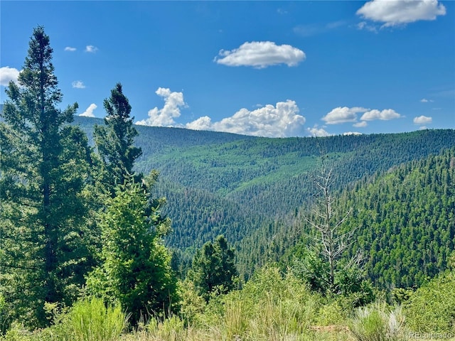 LOT5850 Richardson Rd, Fort Garland, CO 81152