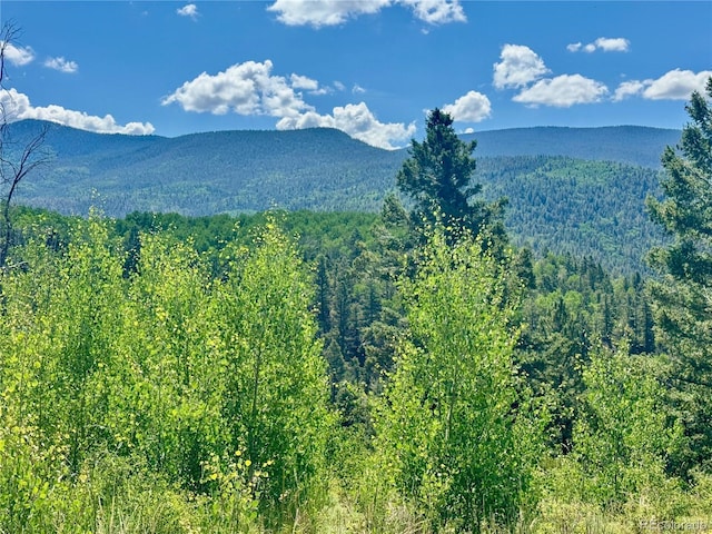 LOT5850 Richardson Rd, Fort Garland, CO 81152