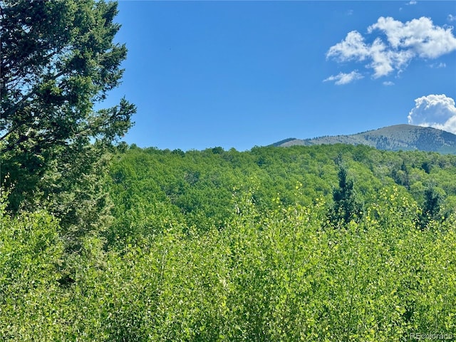 LOT5850 Richardson Rd, Fort Garland, CO 81152