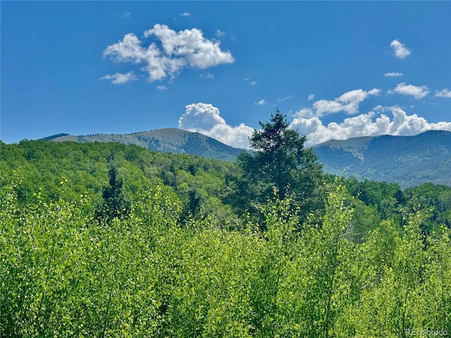 LOT5850 Richardson Rd, Fort Garland, CO 81152