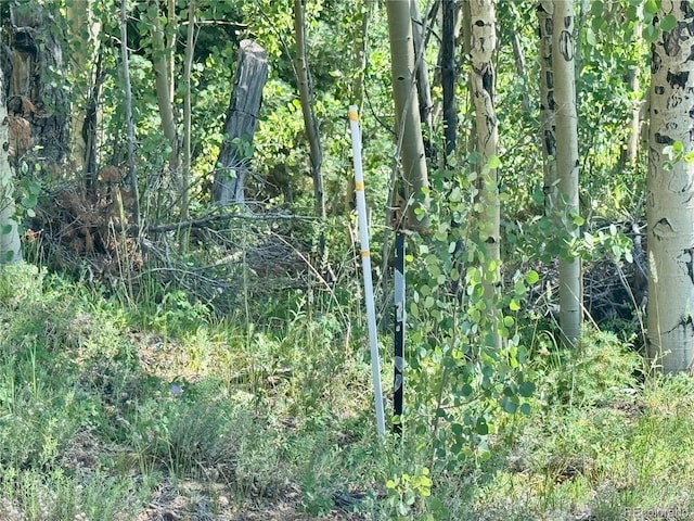 LOT5850 Richardson Rd, Fort Garland, CO 81152