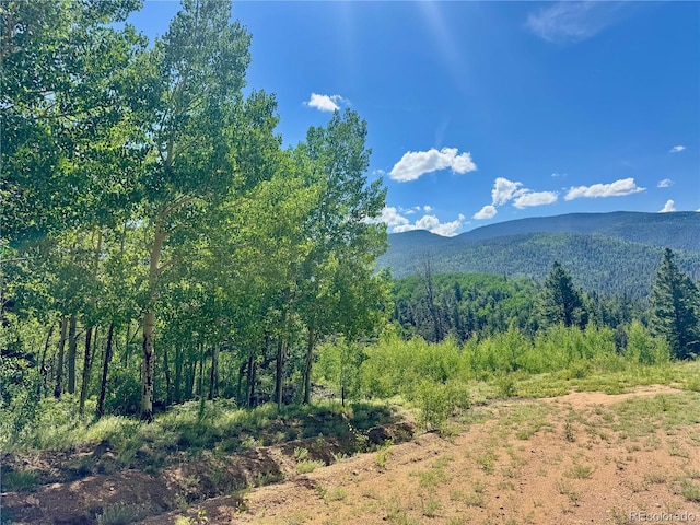 LOT5850 Richardson Rd, Fort Garland, CO 81152