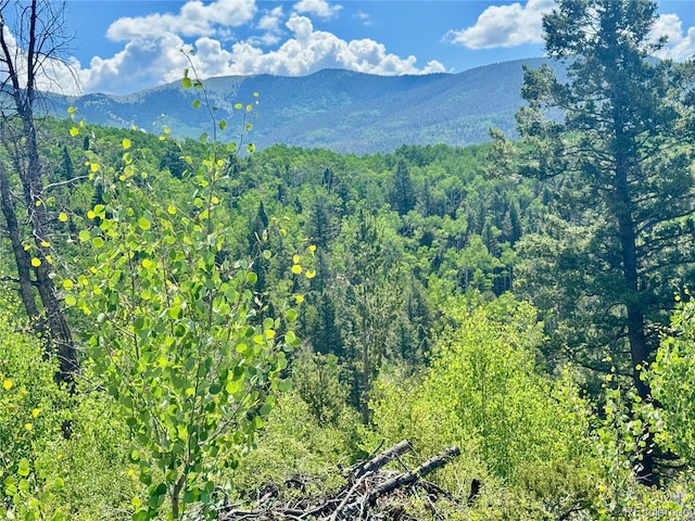 LOT5850 Richardson Rd, Fort Garland, CO 81152