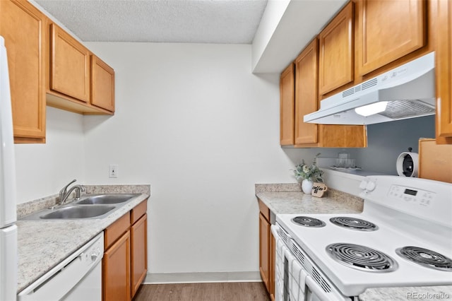 2707 Valmont Rd Unit 106, Boulder, CO 80304 - kitchen with white appliances, under cabinet range hood, light countertops, light wood finished floors, and a textured ceiling