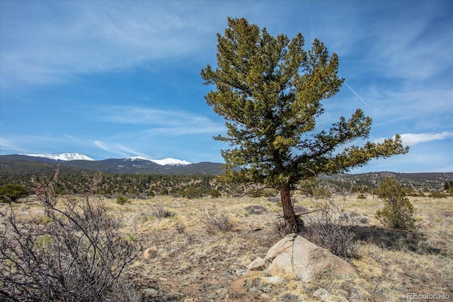 36787 US Highway 24, Buena Vista, CO 81211