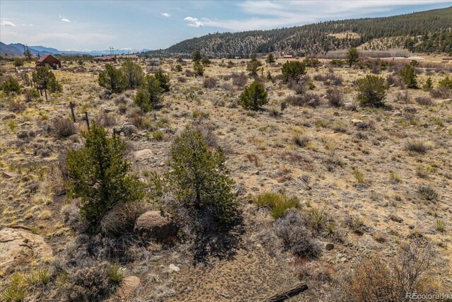 36787 US Highway 24, Buena Vista, CO 81211