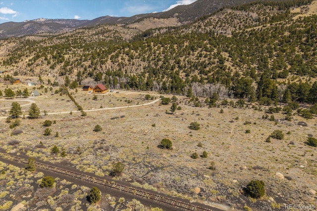 36787 US Highway 24, Buena Vista, CO 81211
