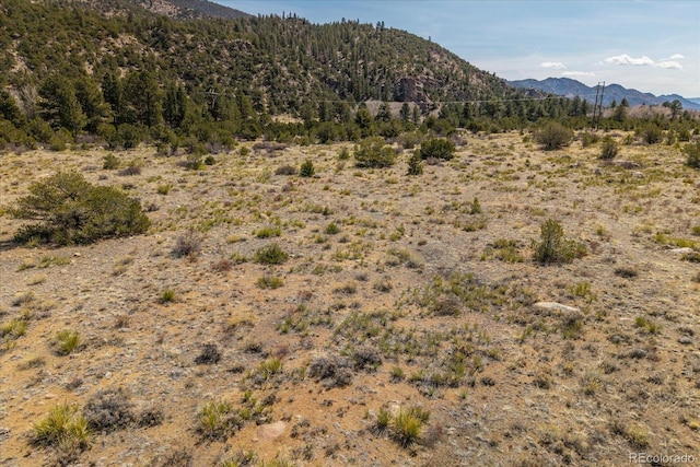 36787 US Highway 24, Buena Vista, CO 81211