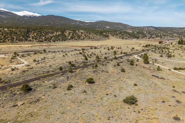 36787 US Highway 24, Buena Vista, CO 81211