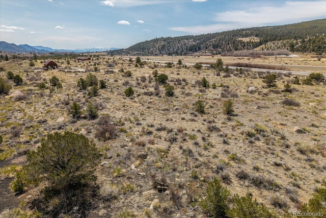 36787 US Highway 24, Buena Vista, CO 81211