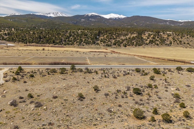 36787 US Highway 24, Buena Vista, CO 81211