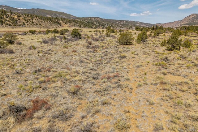 36787 US Highway 24, Buena Vista, CO 81211