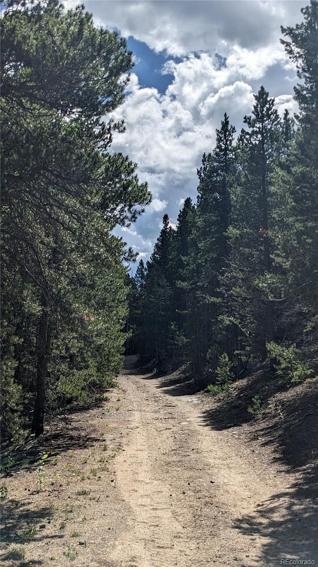 TBD Roy Smith Rd, Central City, CO 80427
