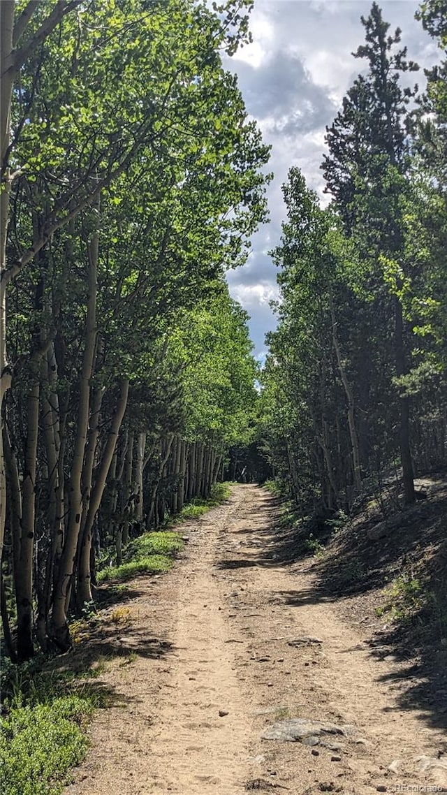 TBD Roy Smith Rd, Central City, CO 80427