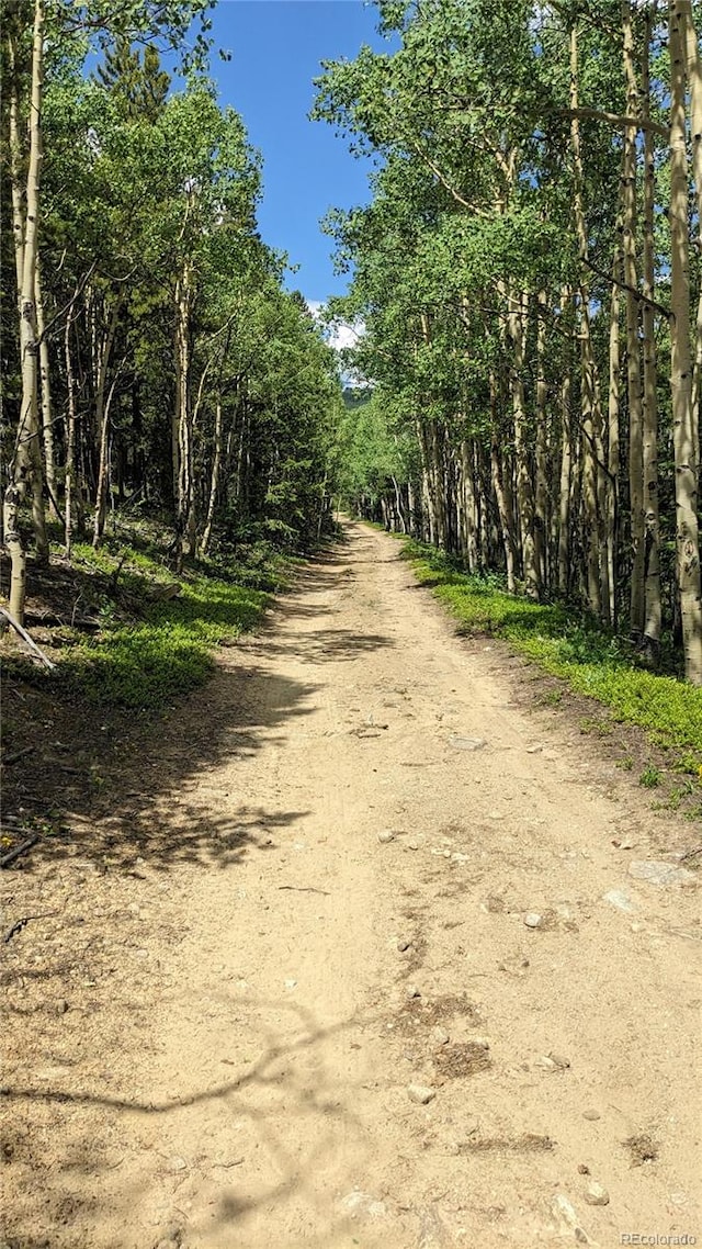 TBD Roy Smith Rd, Central City, CO 80427