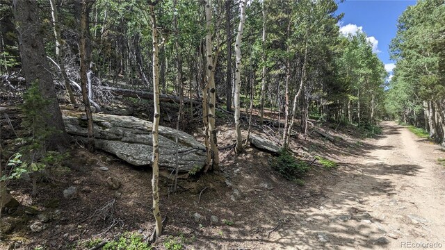 TBD Roy Smith Rd, Central City, CO 80427