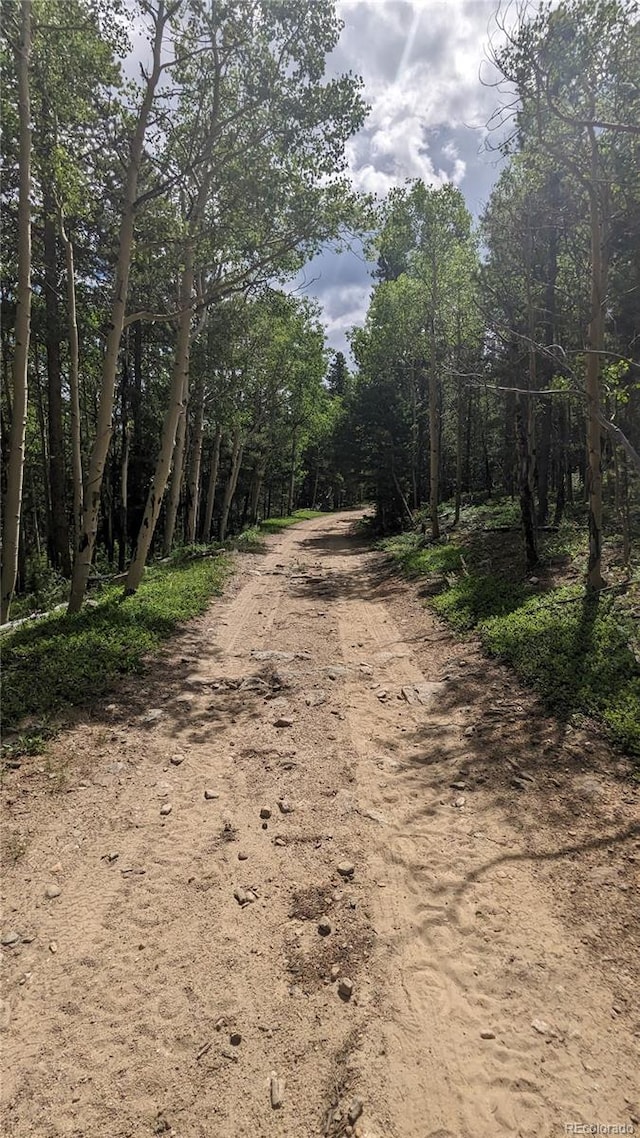 TBD Roy Smith Rd, Central City, CO 80427