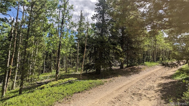 TBD Roy Smith Rd, Central City, CO 80427