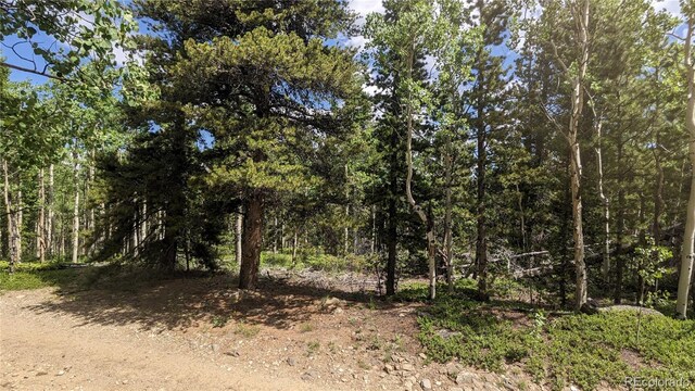TBD Roy Smith Rd, Central City, CO 80427