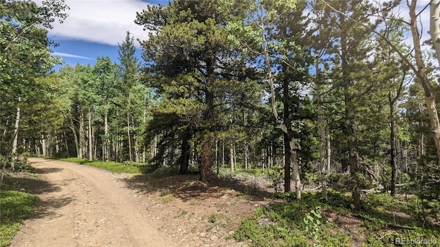 TBD Roy Smith Rd, Central City, CO 80427