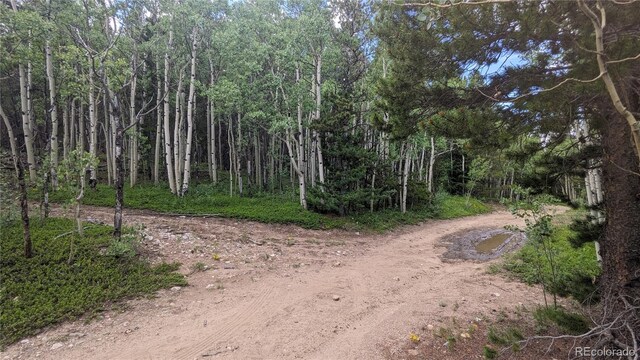 TBD Roy Smith Rd, Central City, CO 80427