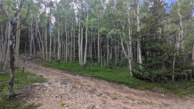 TBD Roy Smith Rd, Central City, CO 80427