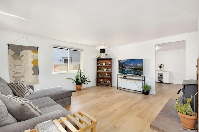 living room with hardwood / wood-style flooring