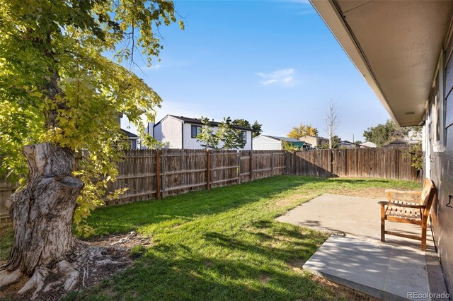 view of yard with a patio