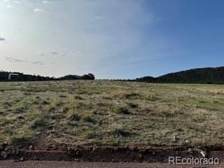 464 Burroback Ct, Cotopaxi, CO 81223