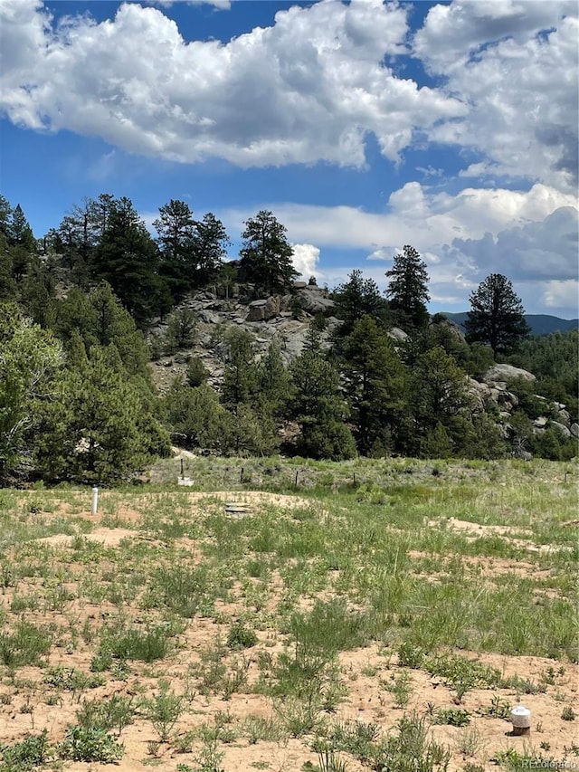 776 Fowler Rd, Westcliffe, CO 81252 - photo 19