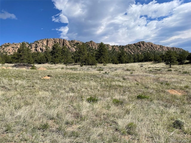776 Fowler Rd, Westcliffe, CO 81252 - photo 20
