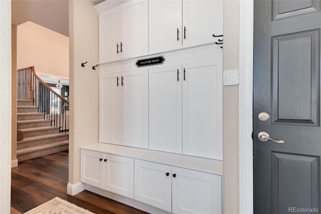 mudroom featuring dark hardwood / wood-style floors