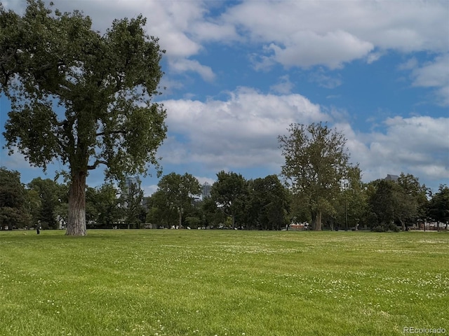 1111 Osage St Unit 7, Denver, CO 80204 - view of property's community featuring a lawn