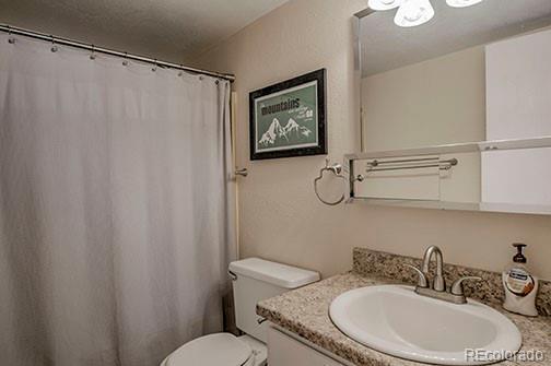 8500 Ryan Gulch Rd Unit 101, Silverthorne, CO 80498 - full bath featuring vanity, toilet, and a shower with curtain