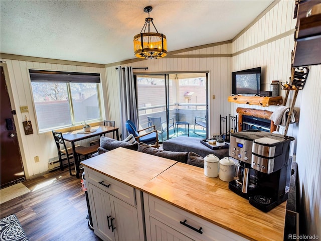 kitchen with a wealth of natural light, dark wood-type flooring, wood counters, and decorative light fixtures