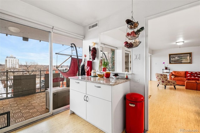 800 N Washington St Unit 710, Denver, CO 80203 - photo 6