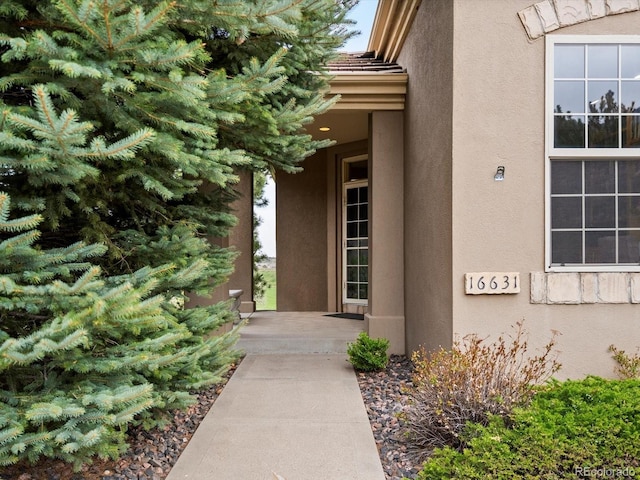 entrance to property featuring stucco siding