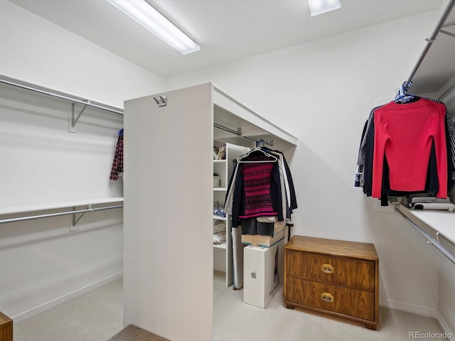 view of spacious closet